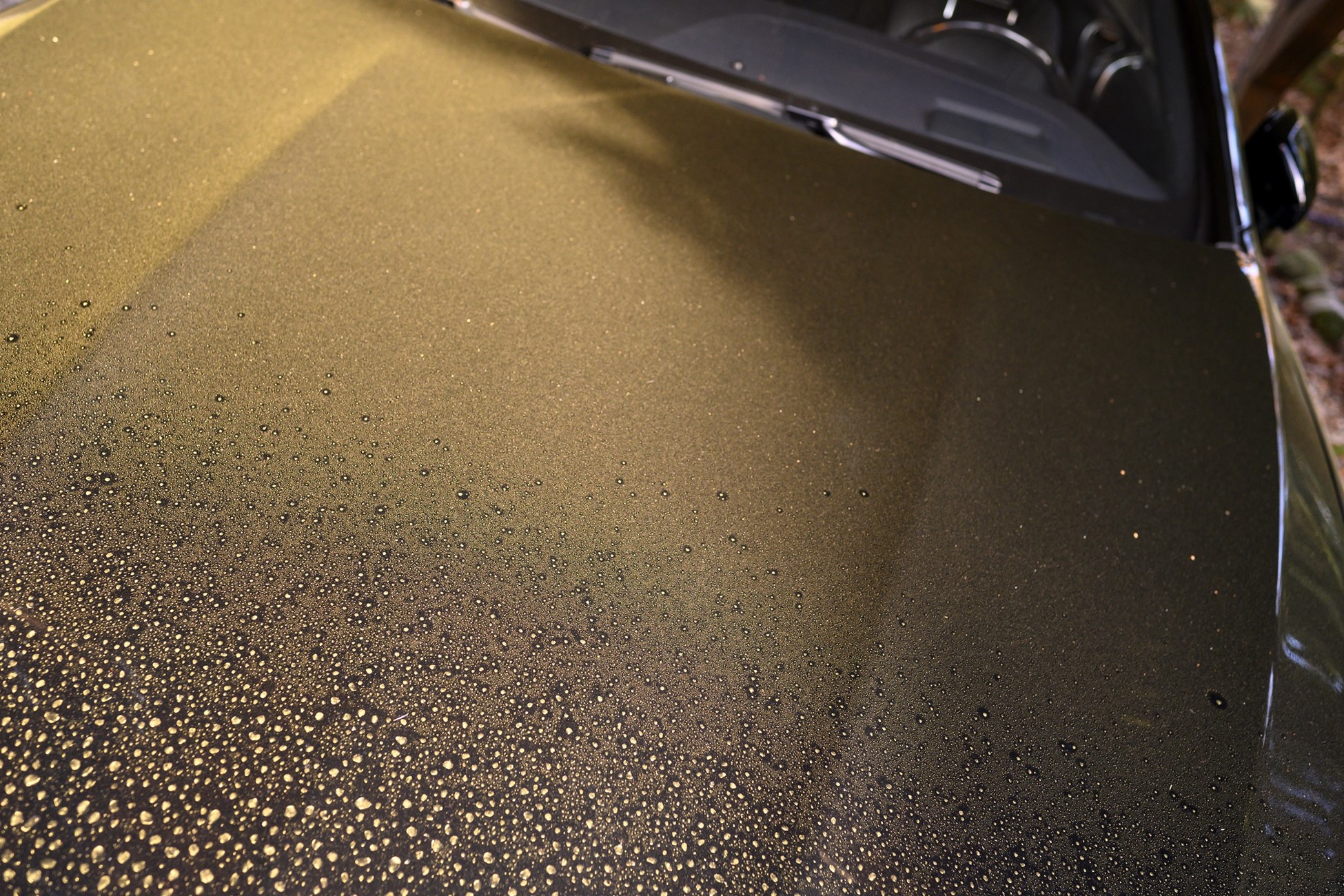 How to Remove Dried Pollen from Car Paint When Washing Cars